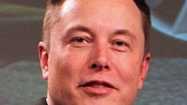 Elon Musk Eltern,Ehepartnerinnen,Ehefrau